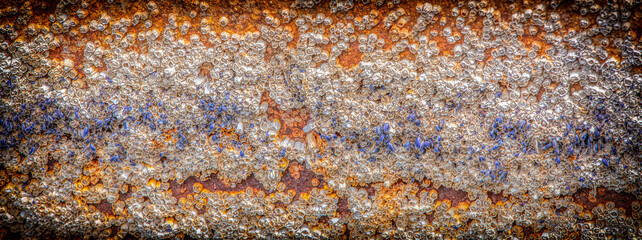 Background acorn barnacles attached to hull of rowboat