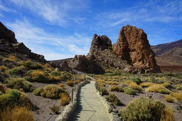 Foto op Canvas Mountain path in Teide national park, Tenerife, Canaries, Spain © Alessio Russo