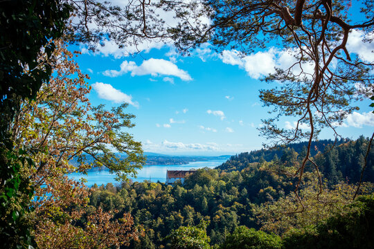 Blick von Ruine Altbodman, Frauenberg, Bodensee