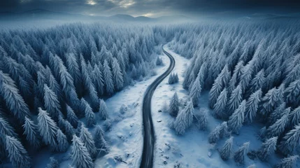 Foto op Canvas Route sinueuse vu par un drone aérienne dans la forêt canadienne en hiver © jp