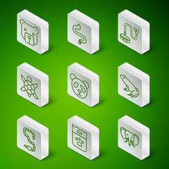 Set line Elephant, Bag of food, Bear head, Cute panda face, Turtle, Snake, Worm and Frog icon. Vector © Vadim