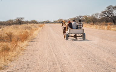 Horse drawn cart carrying tree people, Kunene Region, Namibia. Horse-drawn carts, known as Kalahari...