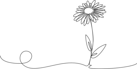 Foto op Plexiglas continuous single line drawing of daisy flower, line art vector illustration © Christian Horz
