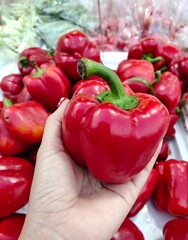 red bell pepper on woman hand on natural background 