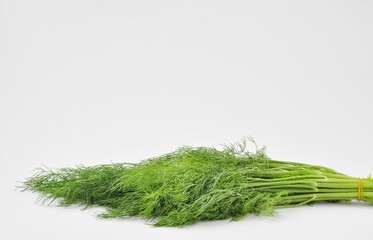 Fresh green dill isolated on white background.