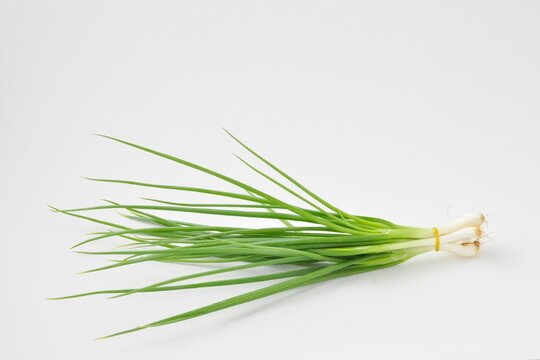 Green sping onions scallion isolated on white background
