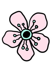 flower on a white background