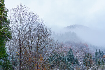 雪が降った日の山並み