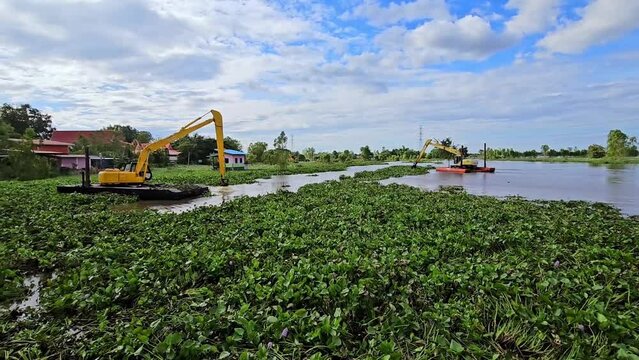 Machines are removing water hyacinth that is blocking a water canal in Thailand.