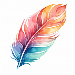 Watercolor colorful feather Clipart isolated on white background