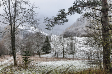 Obraz na płótnie Canvas Winter landscape with snowy trees at hazy day. The Mala Fatra national park in northwest of Slovakia, Europe.