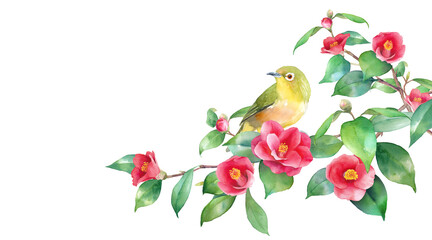 冬の花。赤い椿と小鳥（メジロ）の水彩イラスト。右から伸びる枝。ヤブツバキのバナー背景。