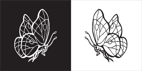 Illustration vector graphics of butterfly icon