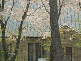 봄 풍경이 아름답습니다