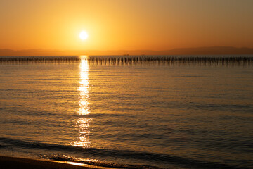 海苔養殖の支柱が並ぶ知多半島の海と夕陽