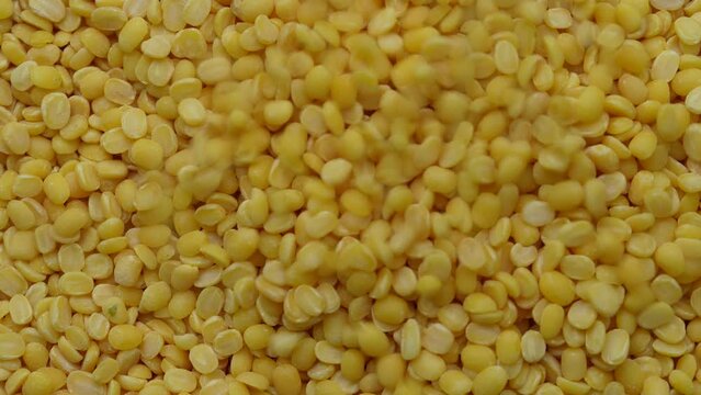 split mung beans , macro view , falling from hand