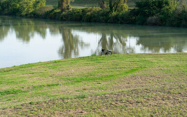 A bicycle parked on the bank of a river during an ecological nature-oriented intinerary. Green grass and trees in the background contribute to the serene and peaceful atmosphere.