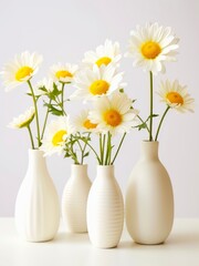 Vases with bouquets of daisies on white background.