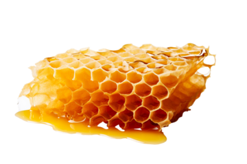 honeycomb on a white background isolated PNG