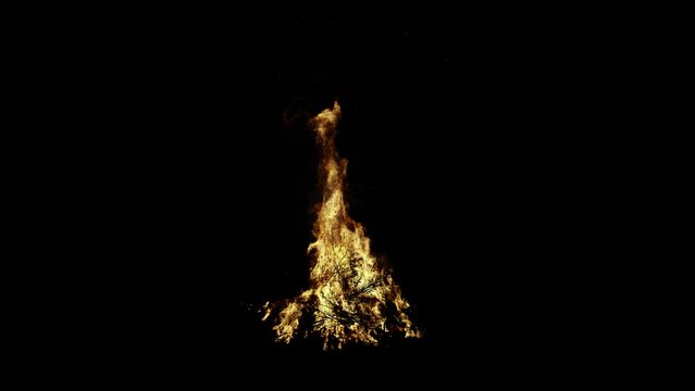 Big campfire with branch on black background