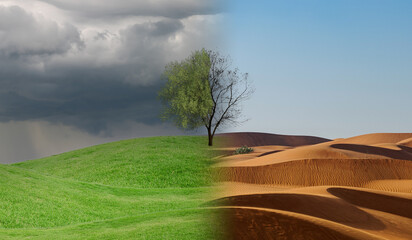 Conceptual scene: metamorphosis of our planet, transition from a green environment to the hostile and arid climate due to climate change.