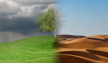 Conceptual scene: metamorphosis of our planet, transition from a green environment to the hostile...