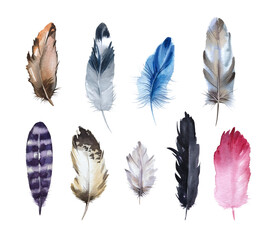Feathers watercolor