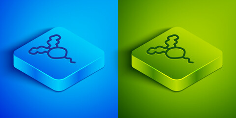 Isometric line Radish icon isolated on blue and green background. Square button. Vector