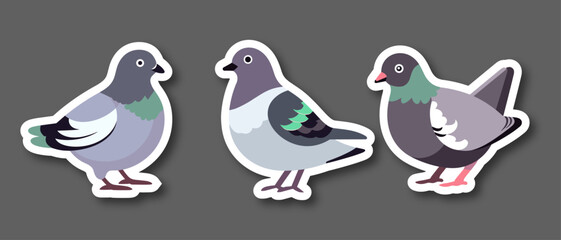 Set vector funny cartoon pigeons illustration. Geometric flat style. Pigeons sticker collection. Pigeons collection. cartoon character