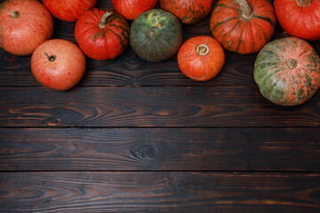Thanksgiving colorful pumpkins on dark rustic wooden table background. Fall menu, October, November holiday, harvest season. Top view, festive template  with copy space