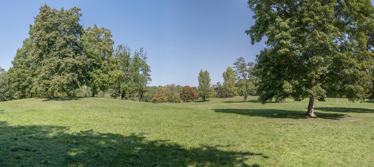 green glade on mild slopes at urban park, Stuttgart, Germany