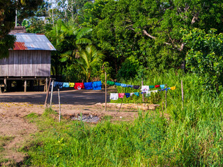 Amazonia