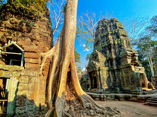 Ta Prohm, a mysterious temple of the Khmer civilization, located on the territory of Angkor in...