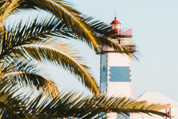 Fototapeta na wymiar tree on the beach with lighthouse