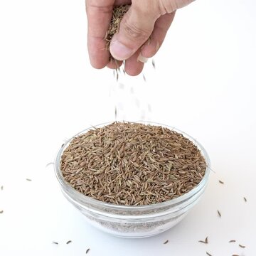 cumin seeds falling from the hands-on glass plate, white background
