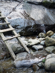 Forest small waterfall, old cliffs and stones with moss and leaks, wooden staircase, plant. Nature. Vertical.