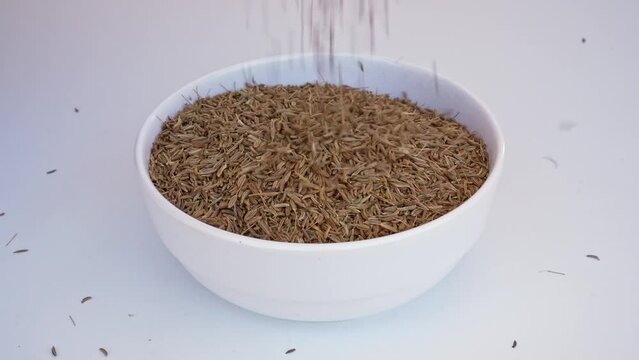 cumin seeds falling on a white plate on a white background
