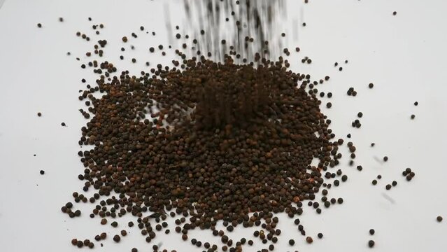 Black pepper falling on white background