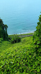 View from top on the Black sea. Garden, plants, environment, seashore.
