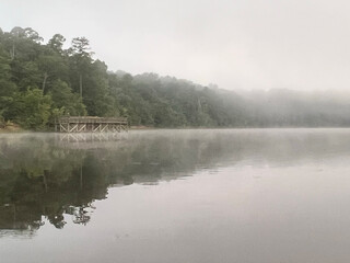 Morning fog on the lake