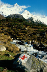 marquage,  logo, isard, Gave d'Ossau, Vall&eacute;e d'Ossau, Parc national des Pyr&eacute;n&eacute;es, Pyr&eacute;n&eacute;es Atlantiques, 64, France