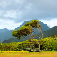 Landscape photograph of Kualoa Park. Oahu, Hawaii. - obrazy, fototapety, plakaty