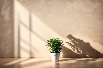 A single green plant in a white pot, placed in front of a beige stone wall, on which a shadow falls