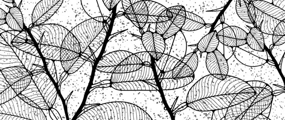 Obraz premium Black and white botanical texture background, poster, banner, wallpaper with prickly branches and leaves.