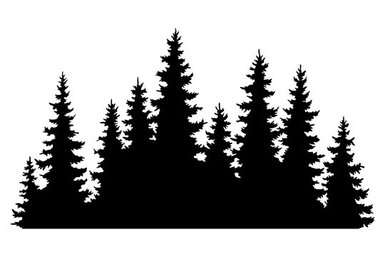 Fir trees silhouettes. Coniferous spruce horizontal background patterns, black evergreen woods illustration. Beautiful hand drawn panorama with treetops forest. Black pine woods