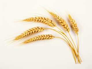 Discover the Stunning Simplicity: Twin Ears of Wheat Against Pure White Background! Generative AI
