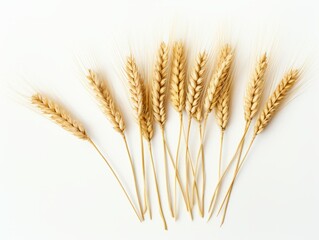 Uncover the Bountiful Beauty: An Intimate Close-Up of 5 Wheat Ears on Pure White Background Generative AI