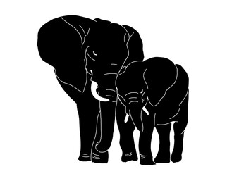 baby and mama elephant illustration