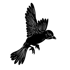 Bird - Sparrow in captivating flight