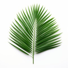 Exotic Palm Leaf Solitude: An Alluring Vision of Tranquility Generative AI